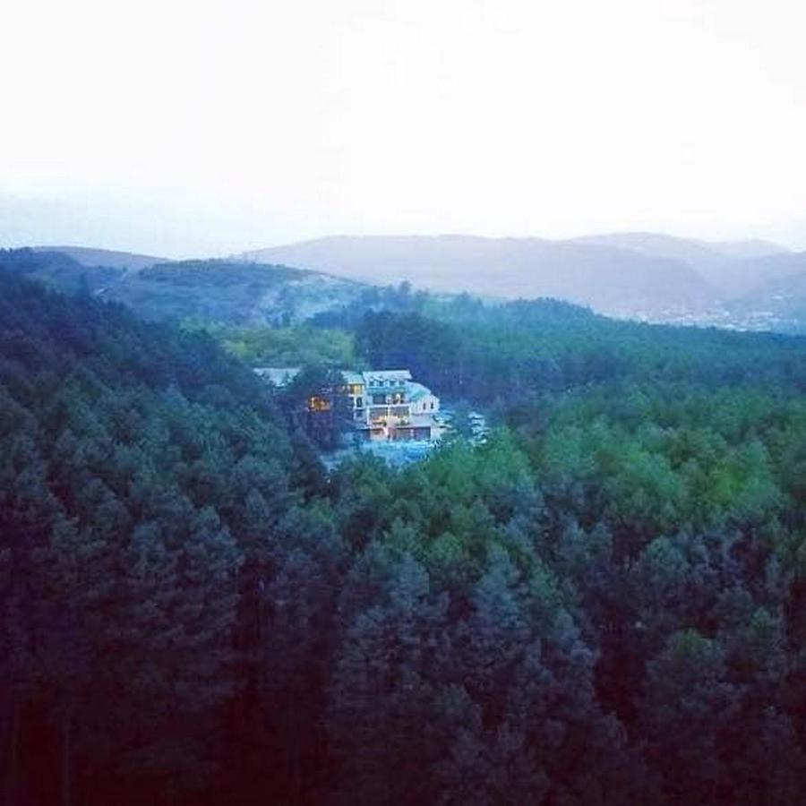 Hotel Surami Bagian luar foto