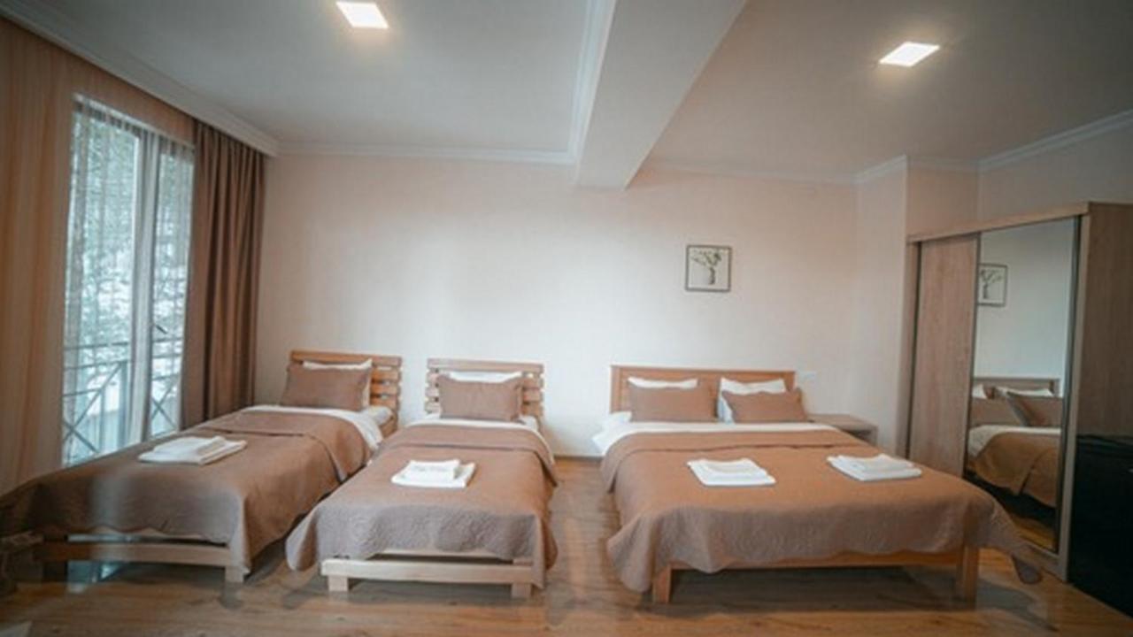 Hotel Surami Bagian luar foto
