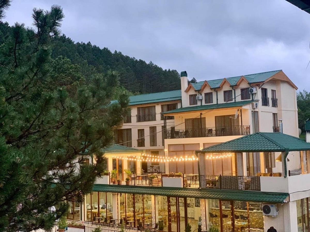 Hotel Surami Bagian luar foto
