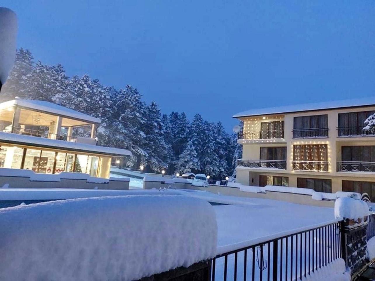 Hotel Surami Bagian luar foto
