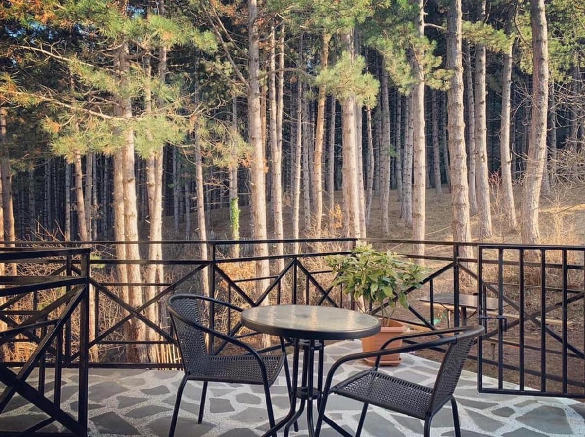 Hotel Surami Bagian luar foto